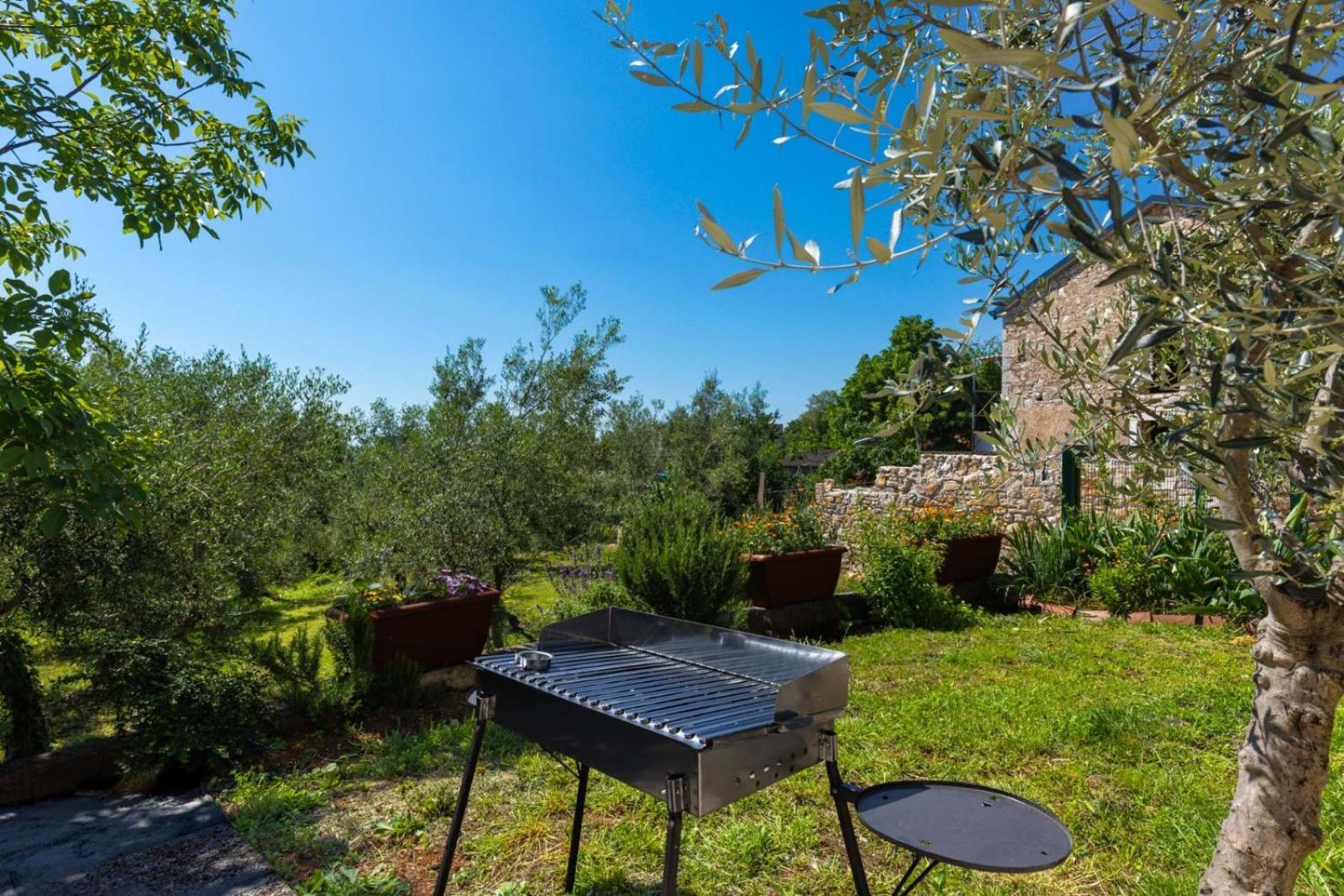 Dvi Ulike Apartament